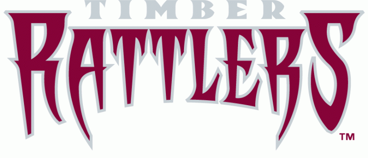 Wisconsin Timber Rattlers 2011-pres wordmark logo iron on transfers for T-shirts